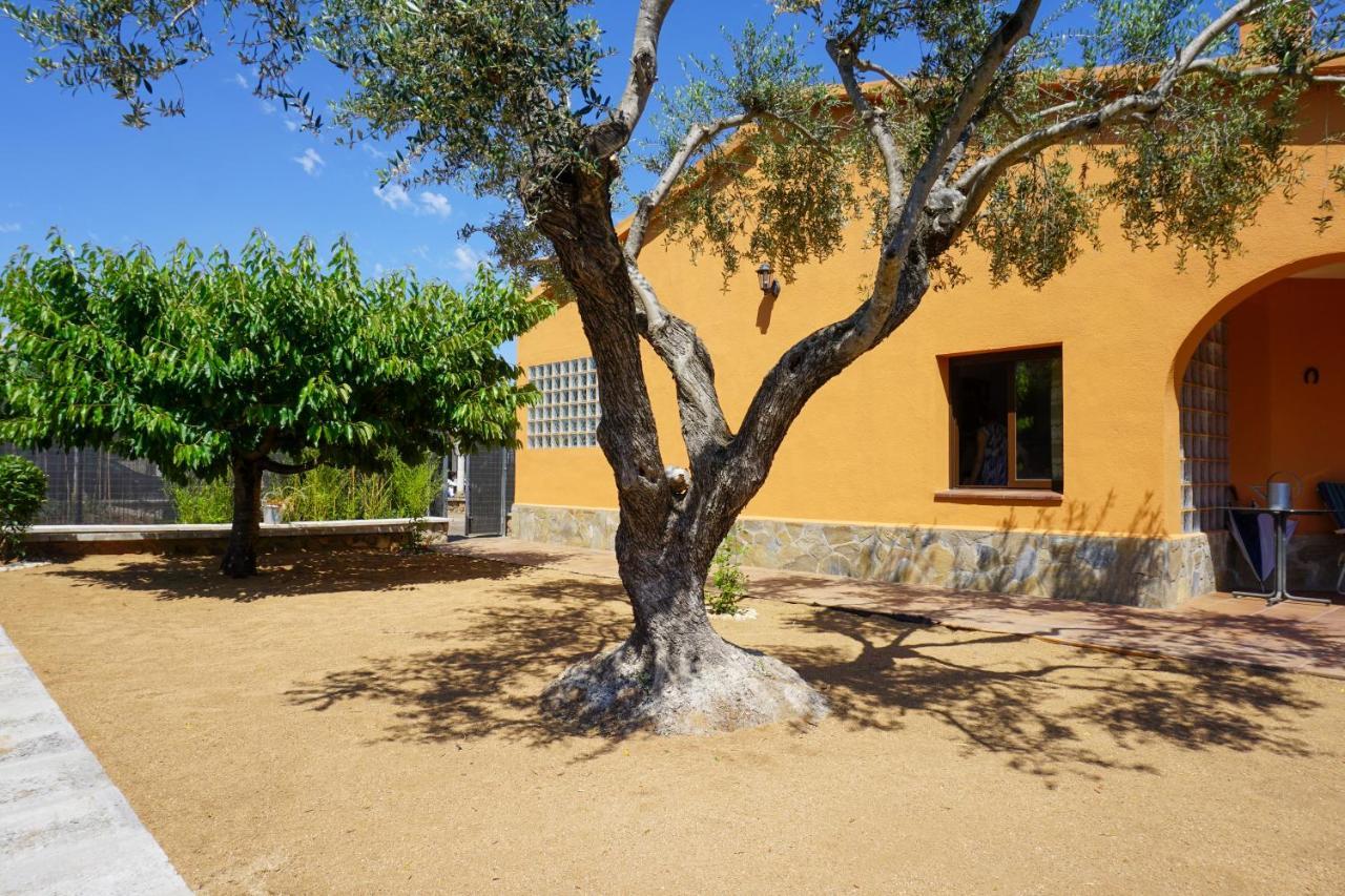 Casa Martina Villa Cardedeu Buitenkant foto